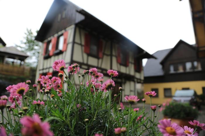 das waldhaus