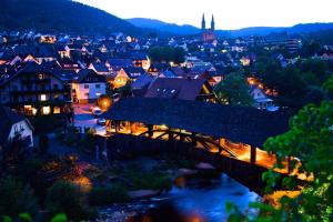 Das Waldhaus,Forbach>>Black Forest,3 star