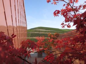 Gut Hermannsberg, Gastehaus,Near Doennhoff Winery,3 star
