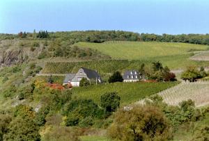 Gut Hermannsberg, Gastehaus,Near Doennhoff Winery,3 star