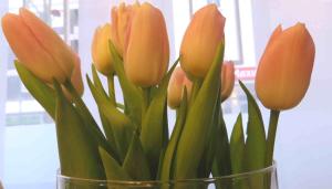 easyandcosy cityroom gelsenkirchen