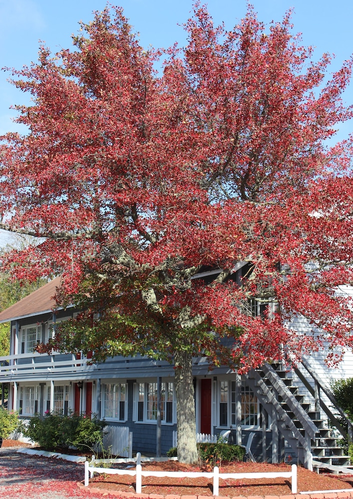 red horse inn