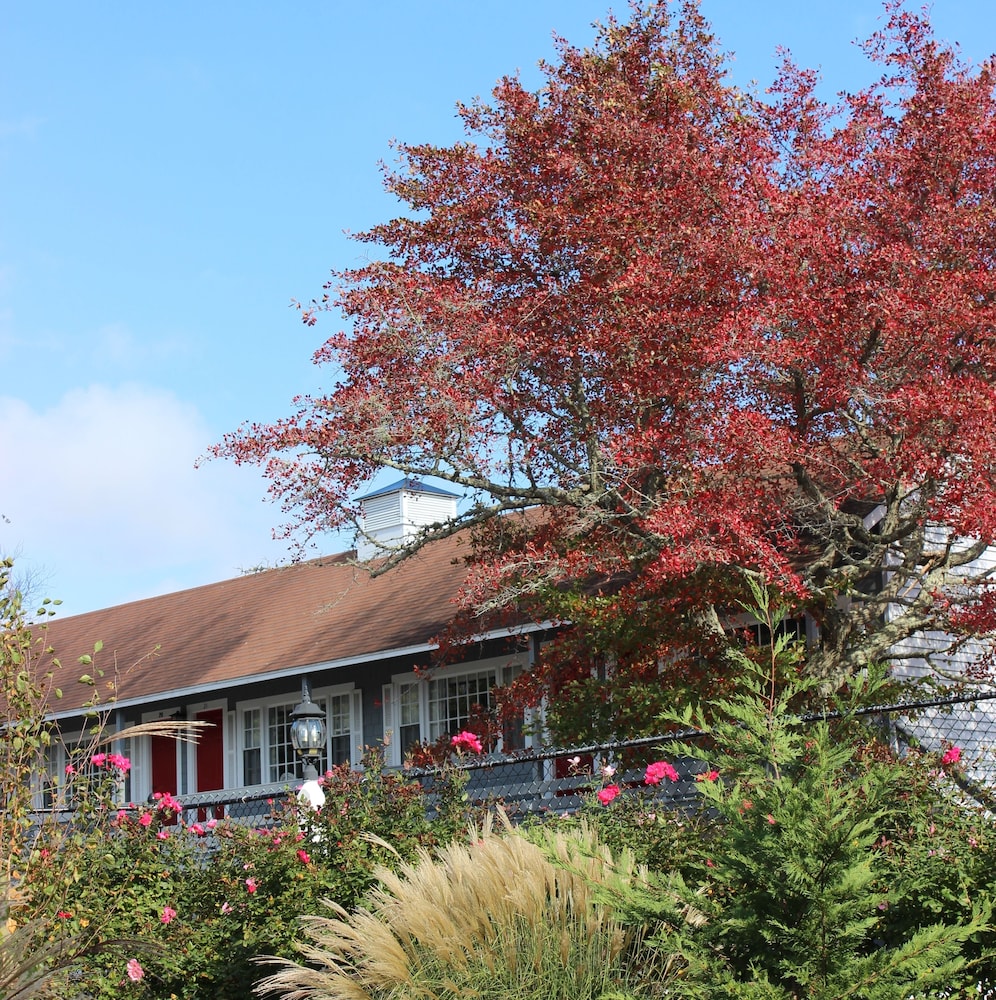 red horse inn