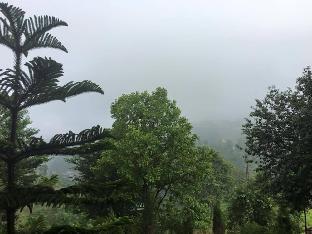 green hill rest camp