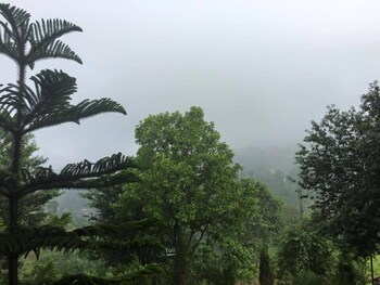 green hill rest camp