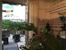 cannes