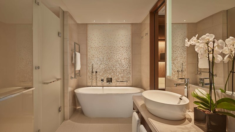 hyatt regency moscow petrovsky park