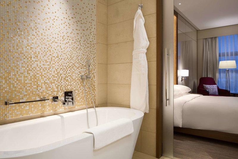 hyatt regency moscow petrovsky park