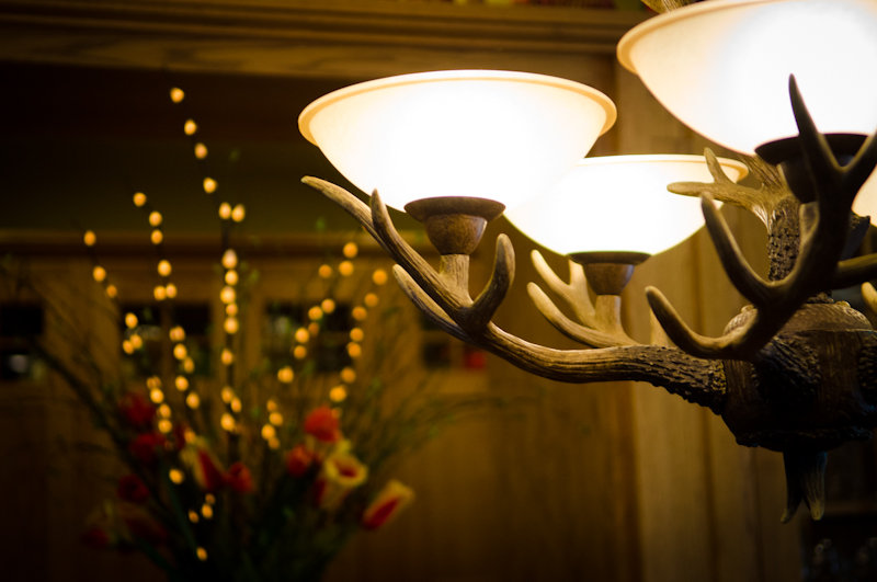 the fern lodge