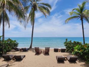 Makao Beach Hotel,Palomino>>Dibulla,3 star