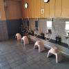 shin imamiya hotel