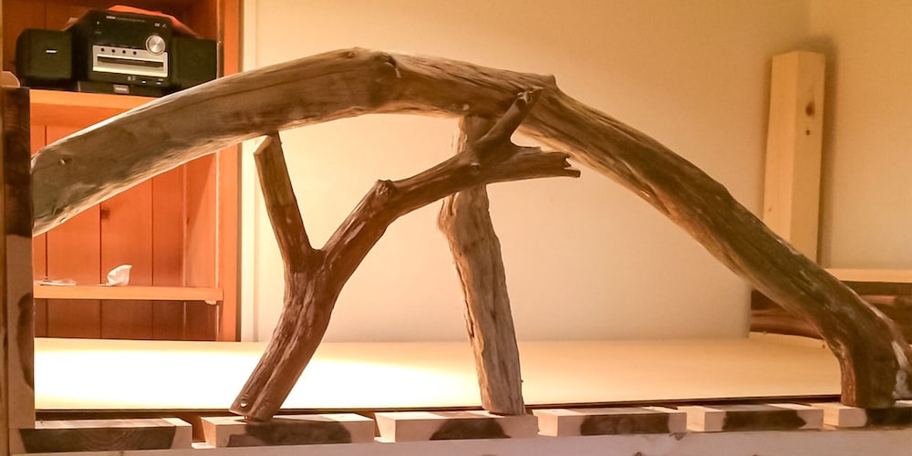 guest house shirahama r cafe caters to women