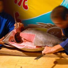 yukai resort shirahama saichoraku