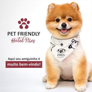 hotel pires