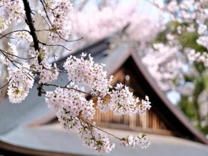 apa hotel iidabashi ekiminami