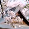 apa hotel iidabashi ekiminami
