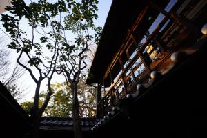 kyoto