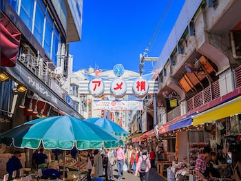 sotetsu fresa inn ueno okachimachi