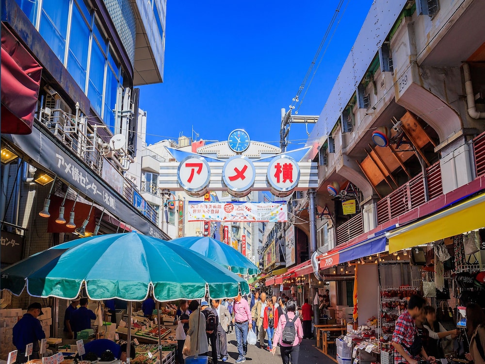 sotetsu fresa inn ueno okachimachi