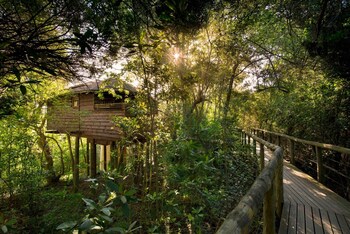 tsala treetop lodge