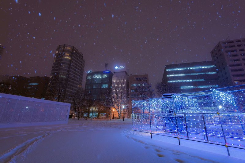 best western sapporo odori koen