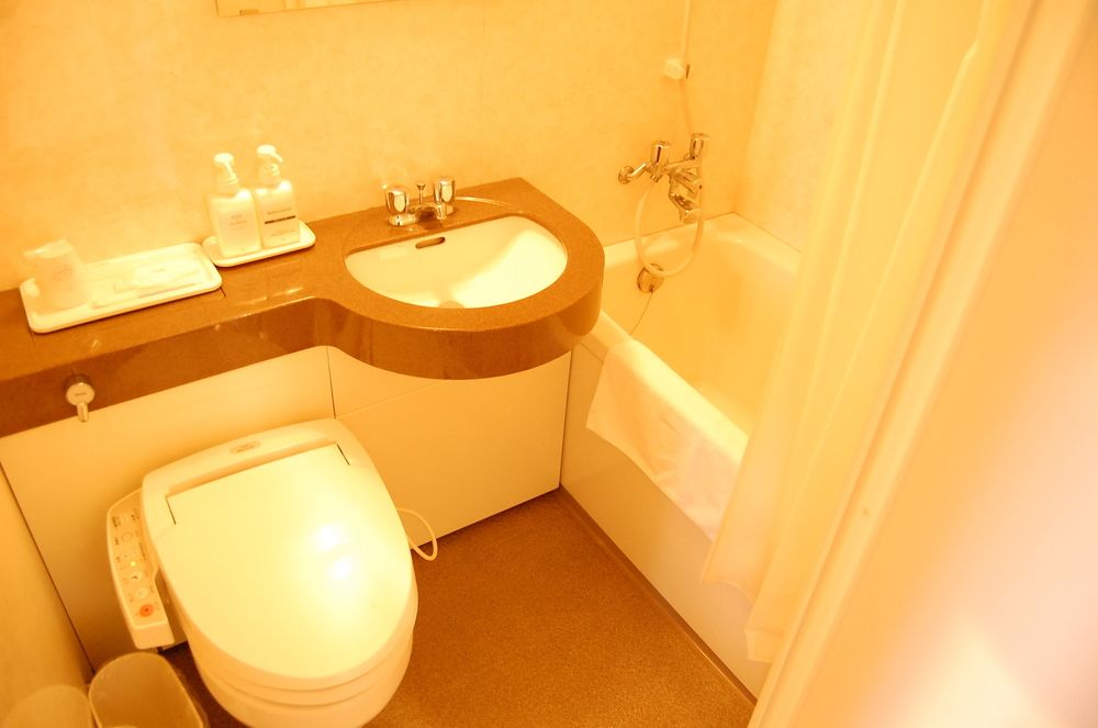 prince hotel second view muroran