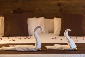 Hotel-Img