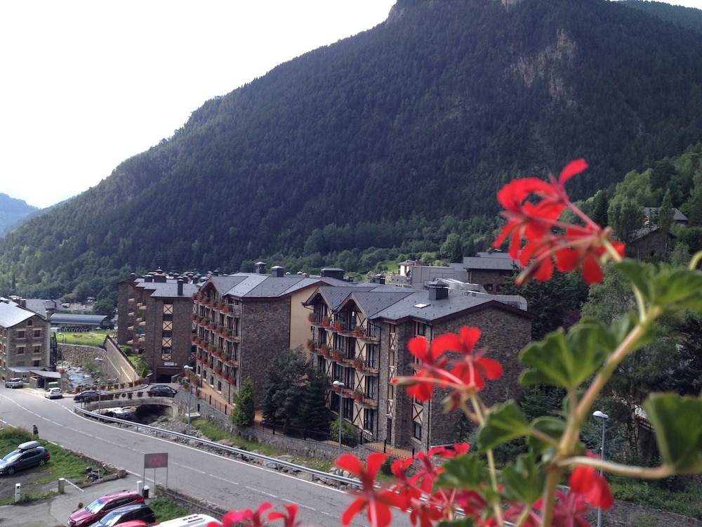 arinsal