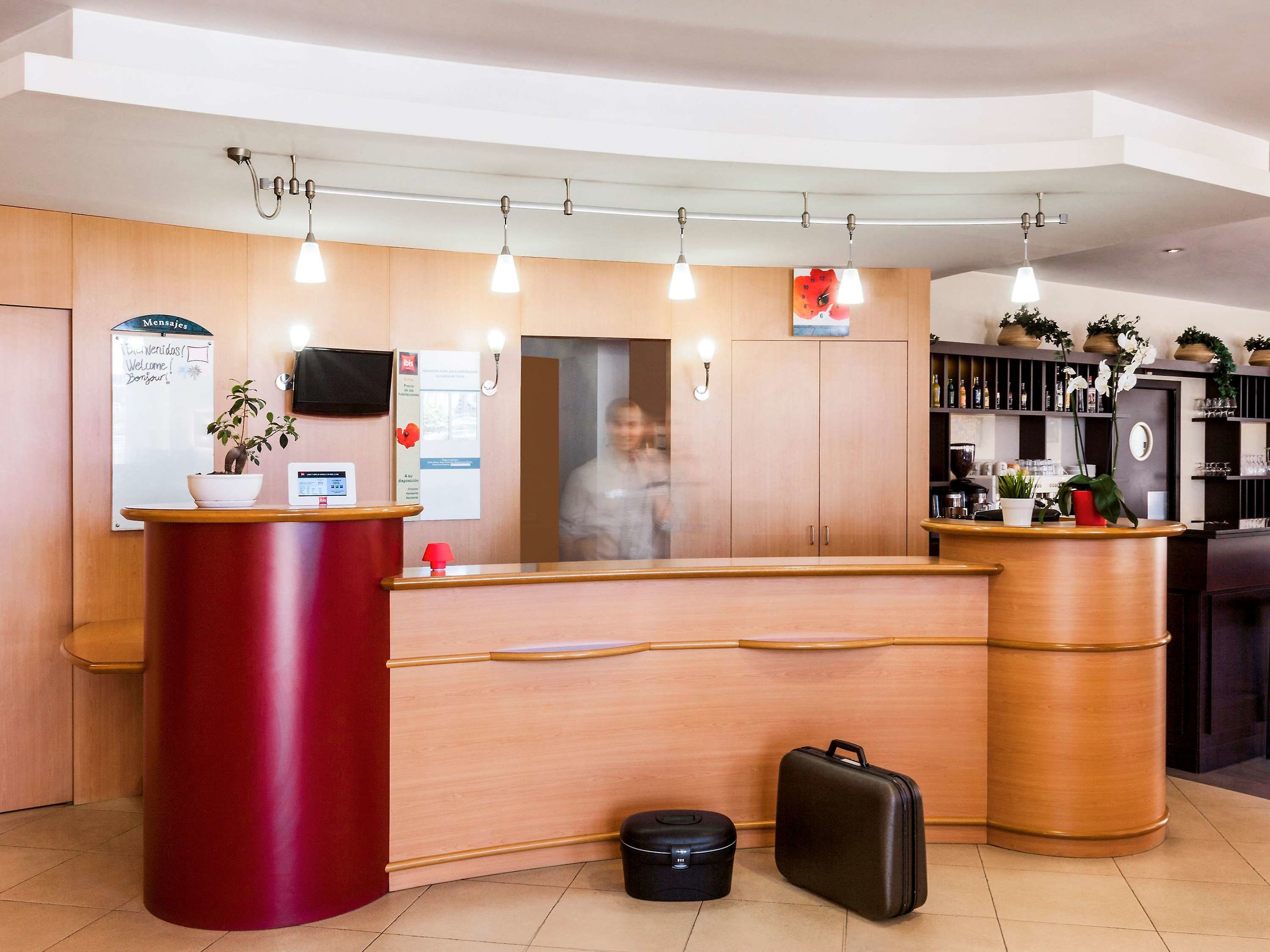hotel ibis elche