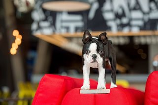 radisson red vanda waterfront cape town