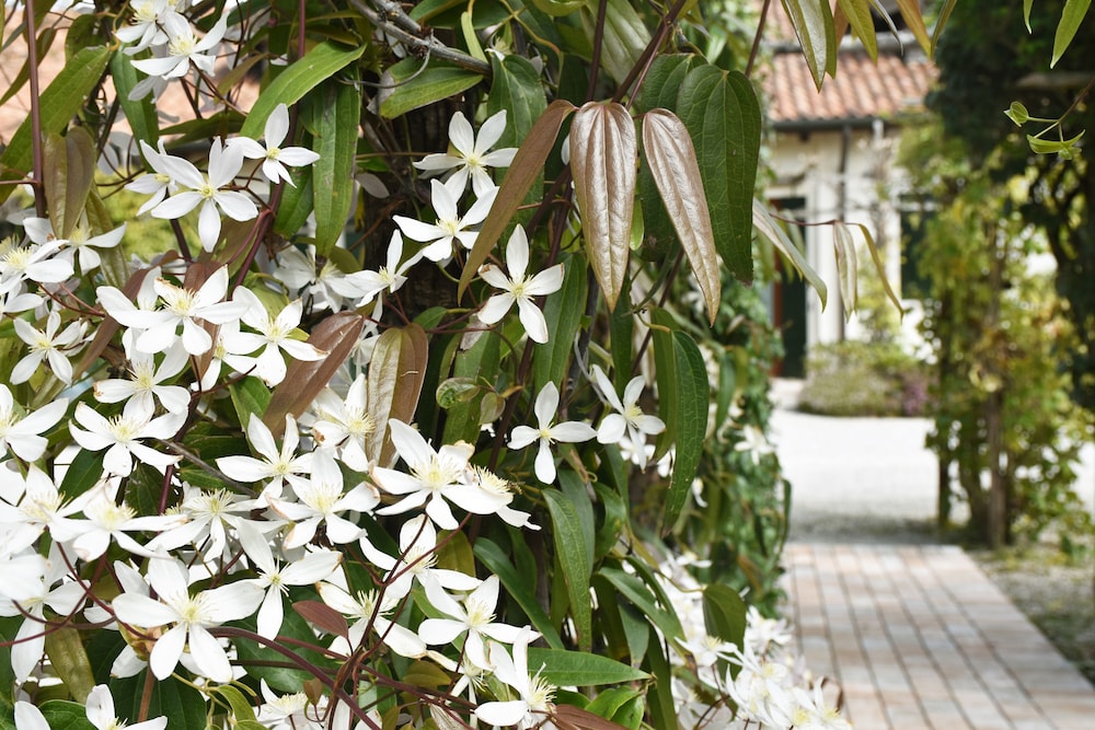 venicegreen agriresort