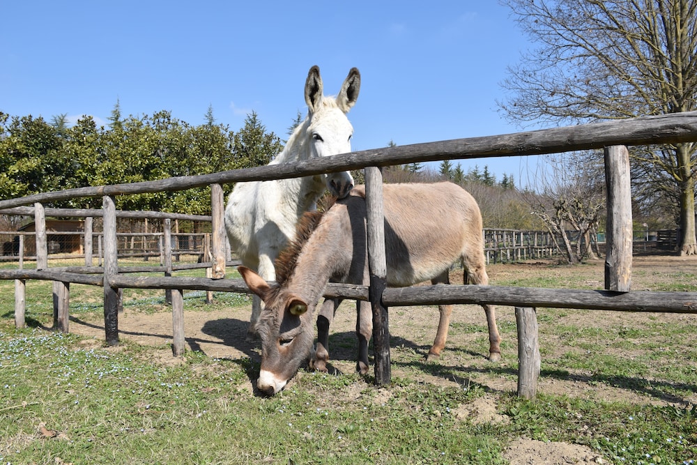 venicegreen agriresort