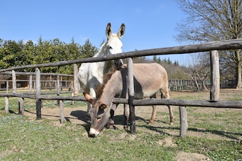 venicegreen agriresort