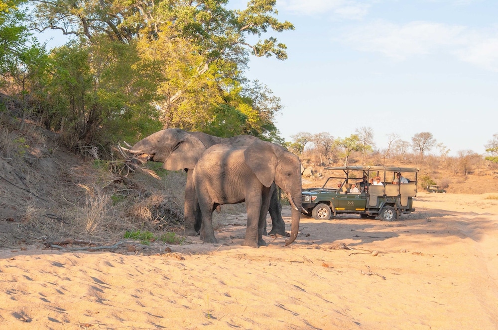 jock safari lodge