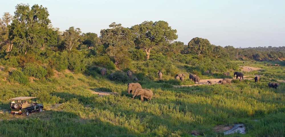 jock safari lodge
