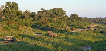 jock safari lodge