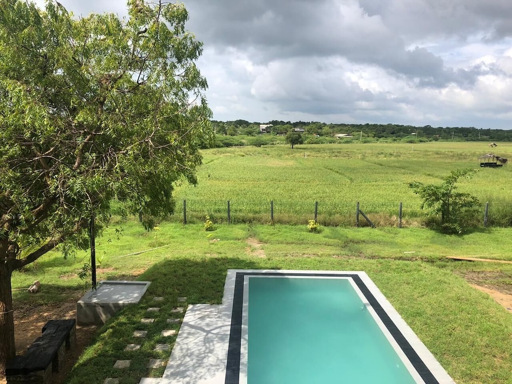 tree tops yala