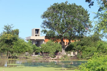 tree tops yala