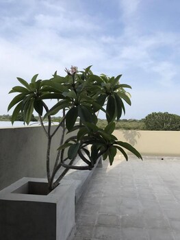 tree tops yala