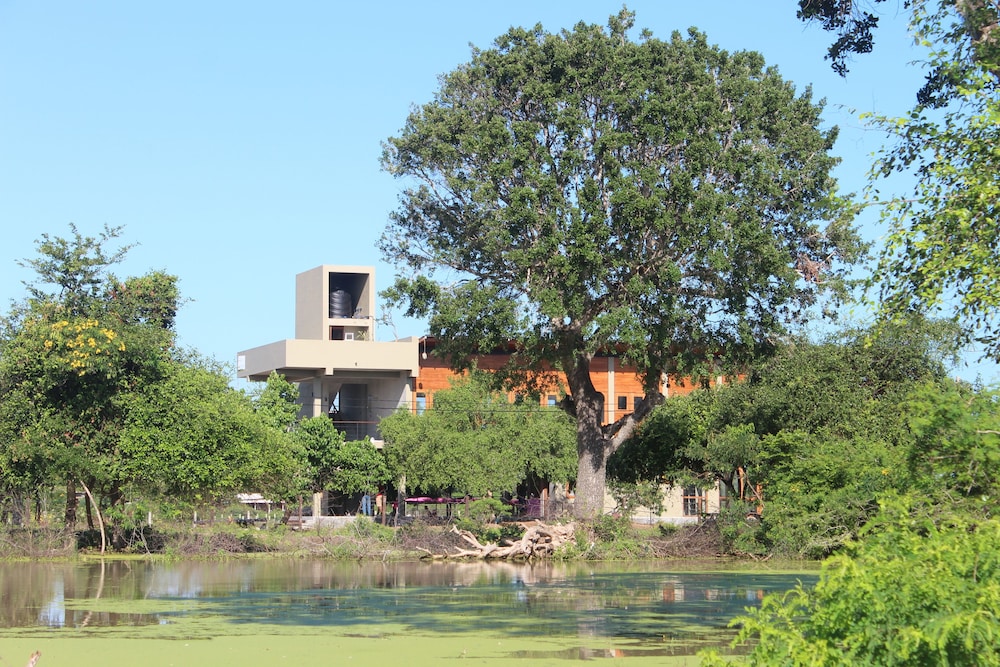 tree tops yala