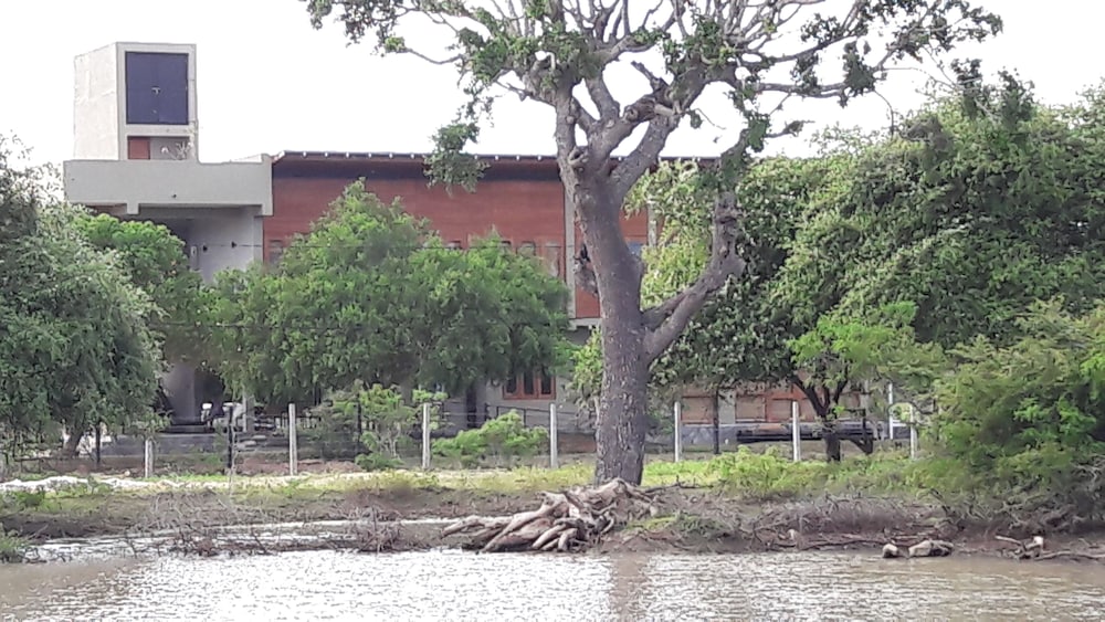 tree tops yala