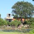 tree tops yala