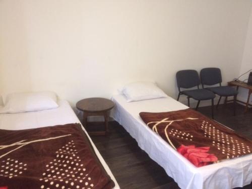 guest house amsterdam hostel