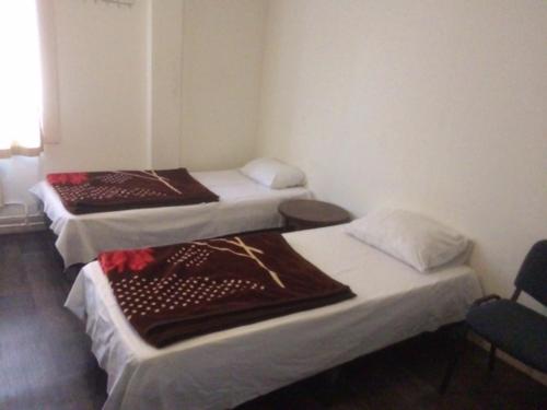 guest house amsterdam hostel