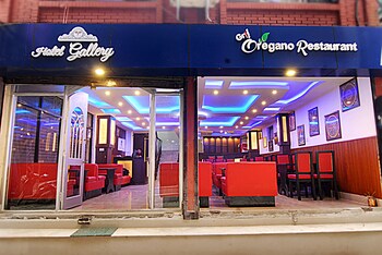 hotel gallery nepal