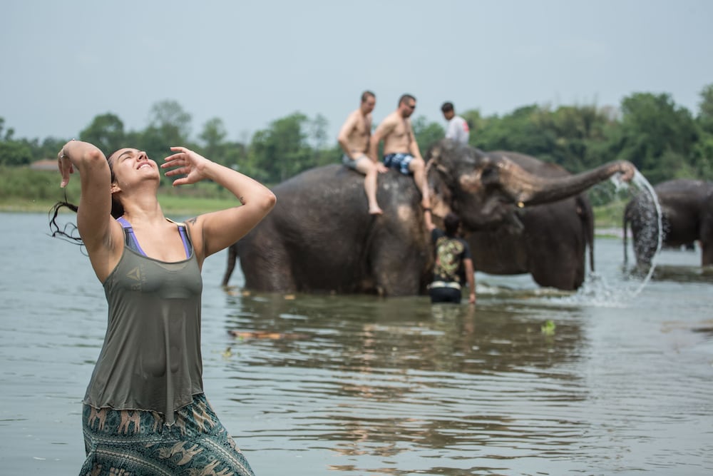 hotel himalayan oasis