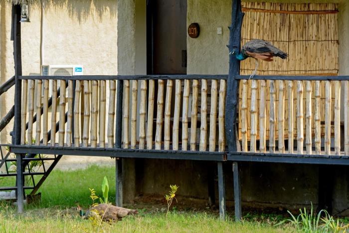 sarang wildlife sanctuary