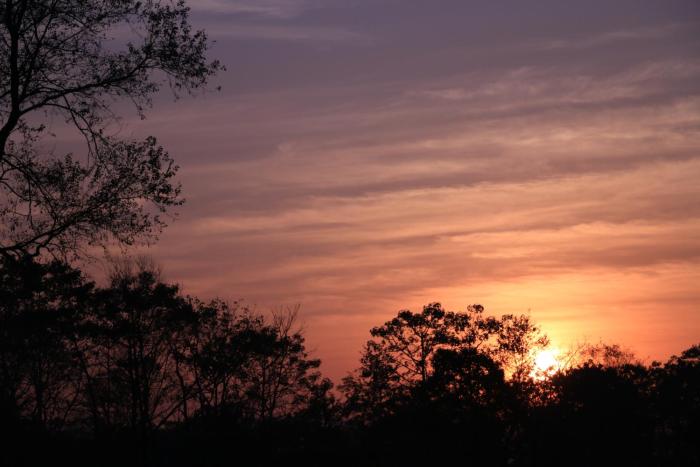 sarang wildlife sanctuary