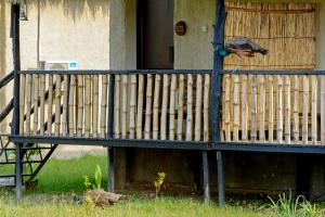 sarang wildlife sanctuary