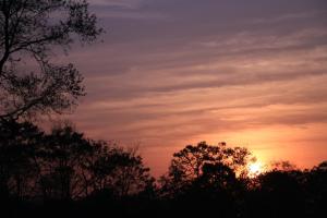 sarang wildlife sanctuary